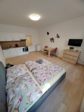 APARTIA Vlhká 26, Brno-center